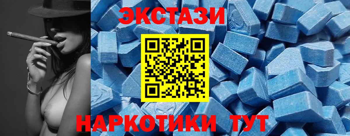 Ecstasy Philipp Plein  Вход с VPN  KRAKEN как зайти  Киселёвск 