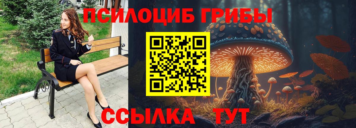 Галлюциногенные грибы мухоморы Киселёвск
